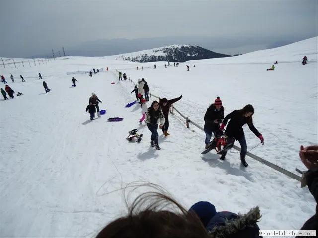 dsc08204.jpg