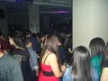 dsc08017.jpg