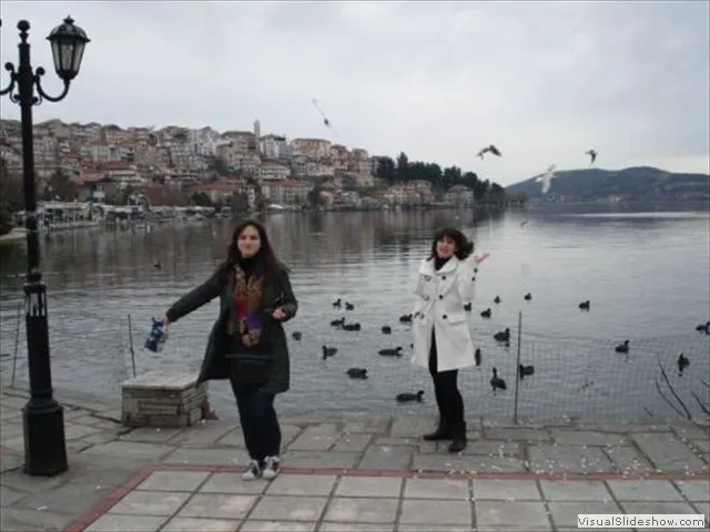 1803201017.jpg